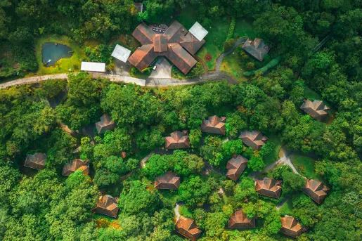 Top view of mini villas within a large forest