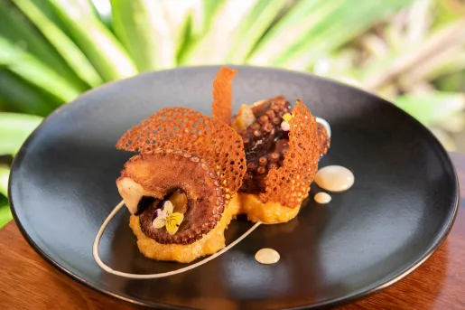 Black plate with a fancy arrangement of grilled octopus and rice 