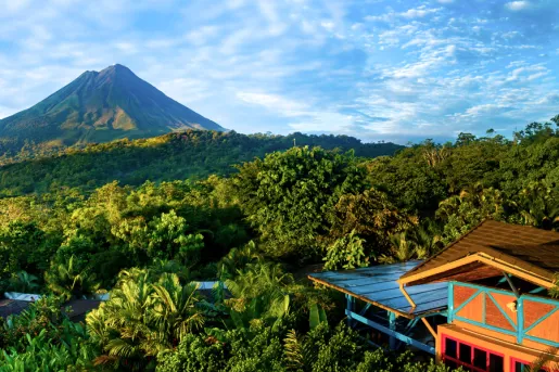 Orange building on the bottom right surrounded by a vast forest