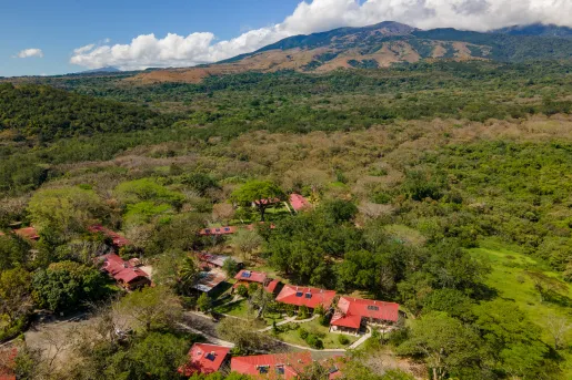 Rectangular buildings with red roofs in the middle of a valley of large trees