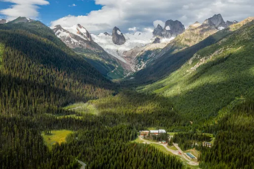 forested valley