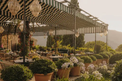 Outdoor patio with tables and chairs, surrounded by large pots of plants