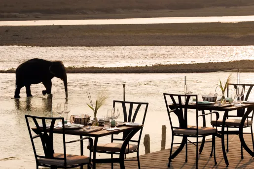 Balcony with dining tables, next to a large body of water with an elephant walking in the water