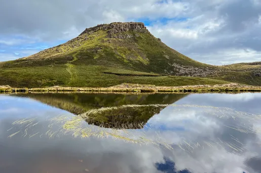 Grassy mountain with a pond filled with loose hay in front
