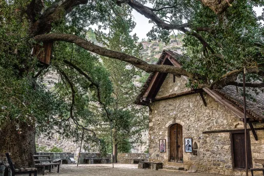 Exterior view of stone cottage building with a large tree in front