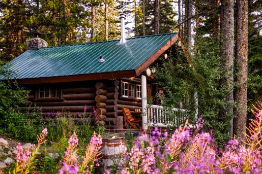 Wooden cabin building in the middle of a forest, with pink flowers in front