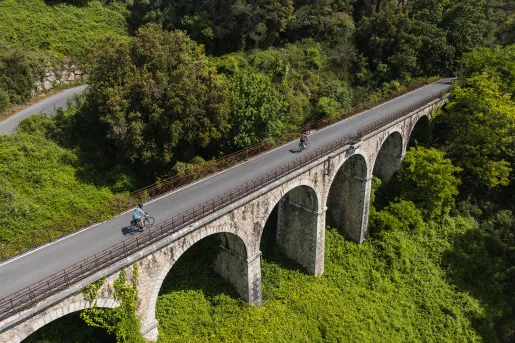 Tall bridge over a forest with two people riding bikes on the bridge