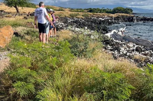 Group of people walking on a grassy path with the ocean to the right