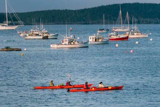 Two red kayaks with people paddling in the middle of a large body of water