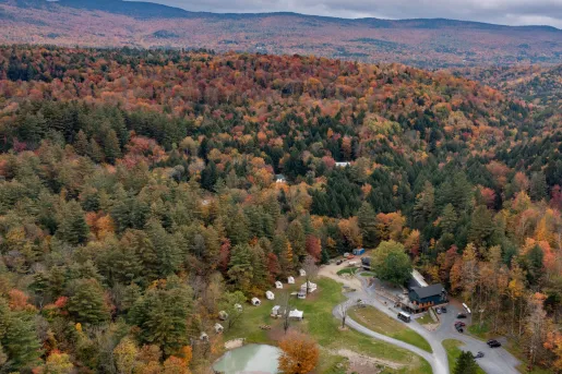 Large forest with red and green leaves, with a building in the middle