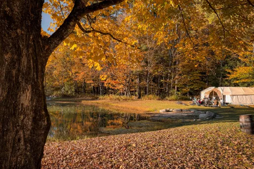 Outdoor field with leaves on the floor and a lake in front