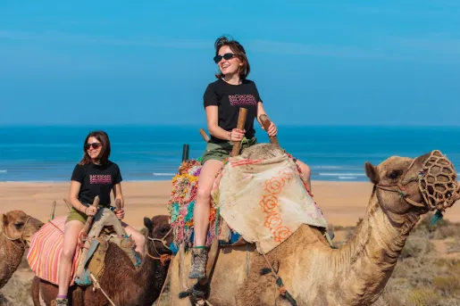 Group of women riding on top of camels