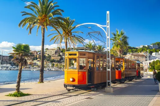 Train riding through a town, surrounded by palm trees and the ocean in the background