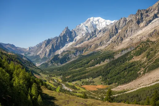 Large valley and mountains with tall trees