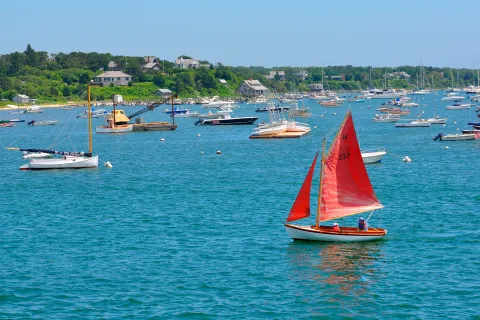 Wide shot of a bay full of sailboats.