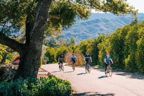 Guests riding past tall flower bushes in desert.