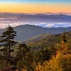 Wide shot of autumnal forest during colorful sunset.