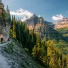 Hikers on a gravel trail with tall pine trees along tall mountains