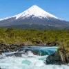 River with small waterfalls, surrounded by tall plants and a snow-capped mountain in the distance