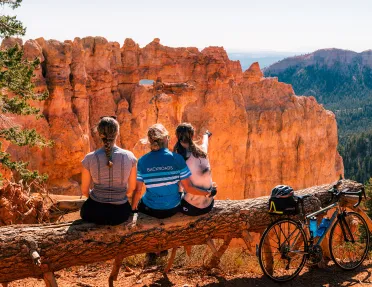 Three guests sitting on downed tree, over looking orange-rock valley, cliffside.
