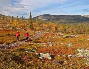 Hiking Finland