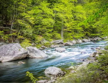 River with large boulders and trees in the background